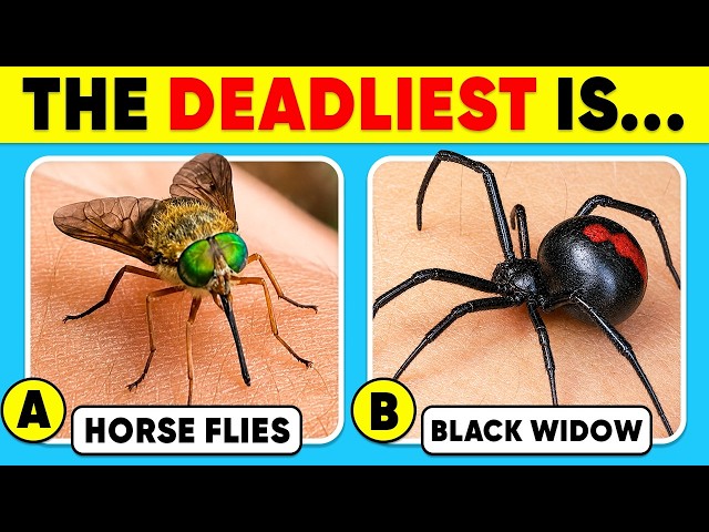 Ultimate Animal Trivia Quiz! ⚠️ Test Your Knowledge (2026)