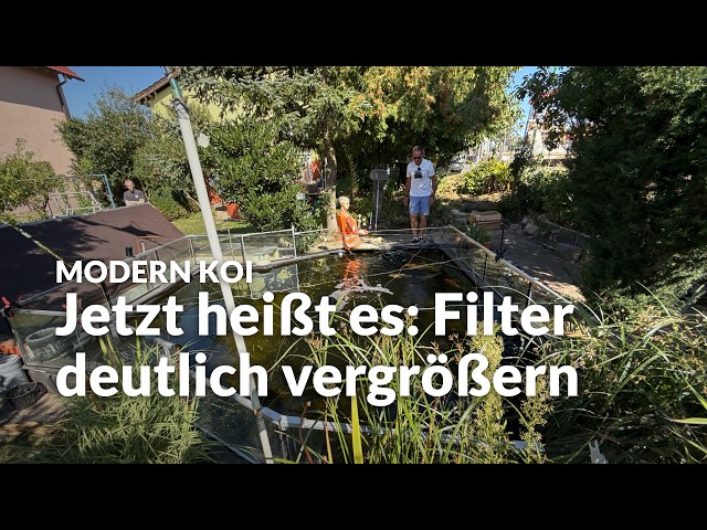 A Water Analysis at Lothar's Koi Pond | Modern Koi Blog #8243