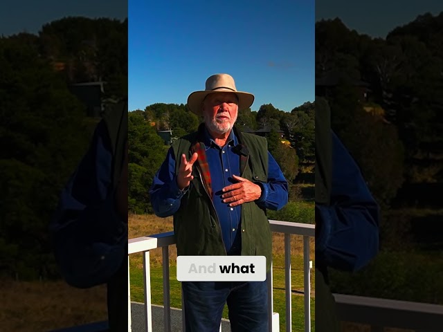 A Sleepover with a Wild Twist