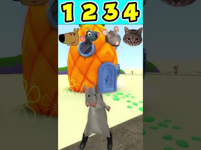 RAT DANCE BATTLE #7 #ratdance