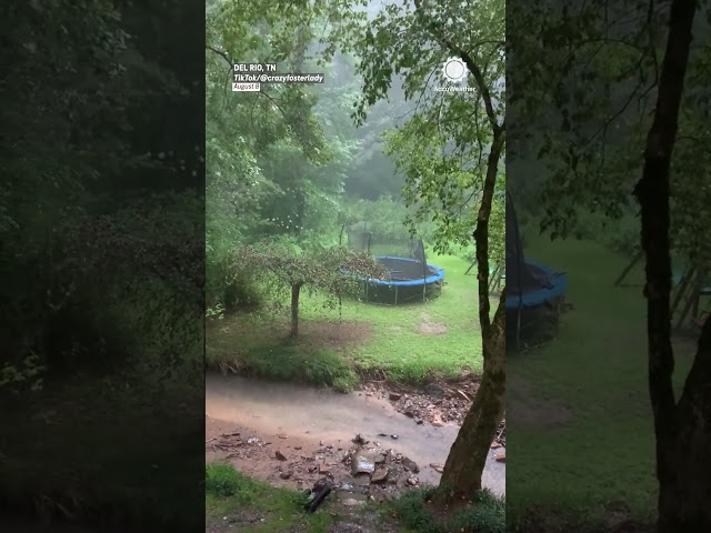 Flash Flood Swallows Back Yard, and Fast!
