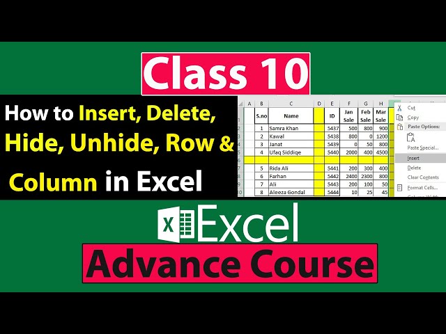 How to Insert, Delete, Hide and Unhide Row and Column in Excel in Urdu - Class No 10
