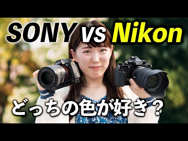 SONY vs Nikon | Do the colors really look different? A thorough comparison under the same conditions