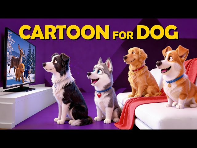 New Music Cartoon for Dogs To Watch 2026, Colors they can see! 🐶 Anxiety Therapy, Panic Relief, Cal