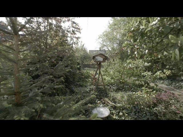Canon R5C VR  - Vogelgarten 180 3D
