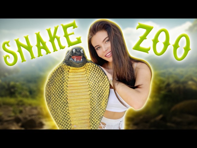 Snake Zoo