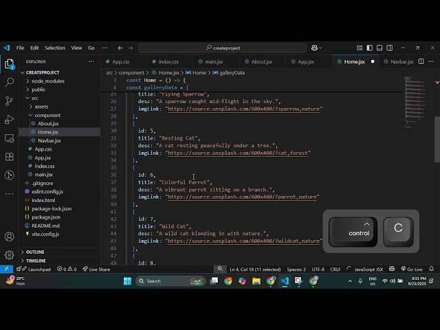 How to use Map Function in React VIte
