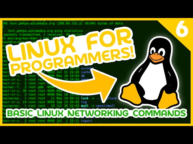 Linux for Programmers #6 - Basic Linux Networking Commands