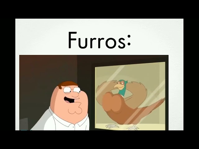 Furros: