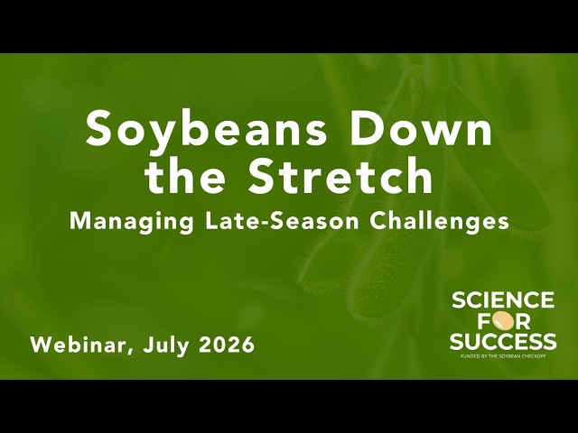 Soybeans Down the Stretch Webinar