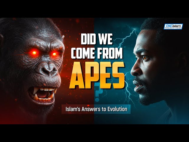 Did We Come From Apes? Islam’s Answer to Evolution