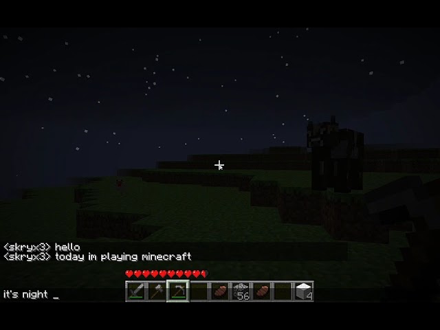 some kind of minecraft alpha version