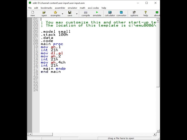 user input in assembly