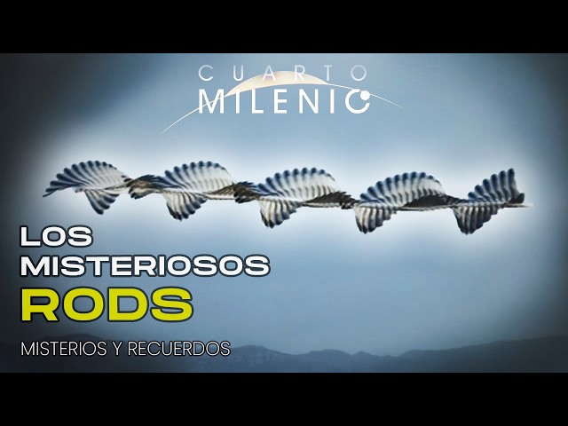 The Mysterious Rods | Special | #stories #mystery #video