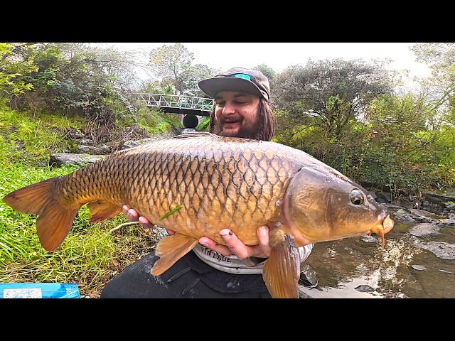 Fishing Dangerous Flood Waters! GIANT Carp Catch That Changed Everything