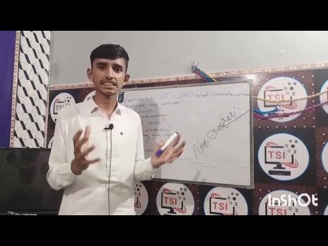 Tech Solutions Institute Student