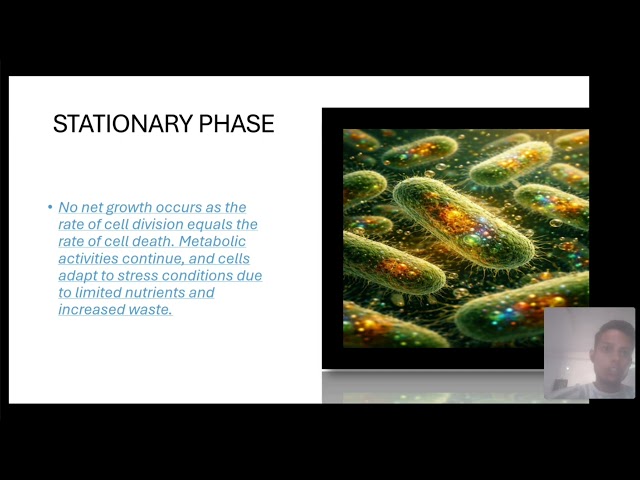 Learn About The Bacterial Growth And It's phases 🦠🦠