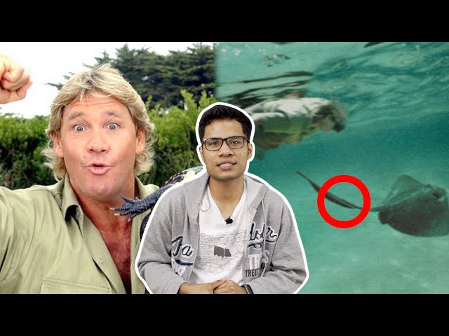 Insiden yang Meragut Nyawa Crocodile Hunter