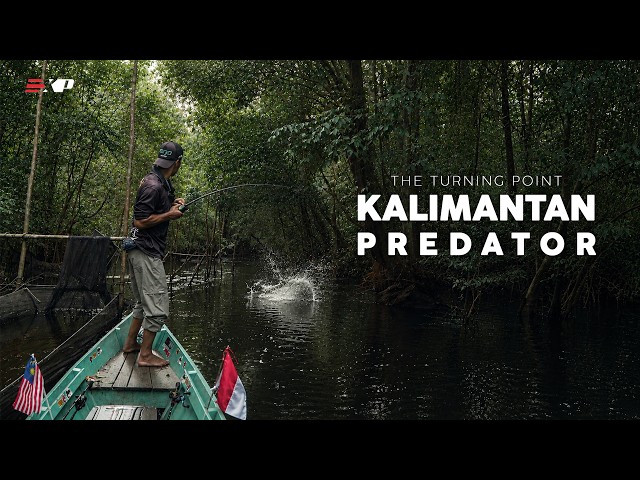 KALIMANTAN: MEMBURU TOMAN DI RUMAH GOBLIN [EXP SPOTCHECK EP25]