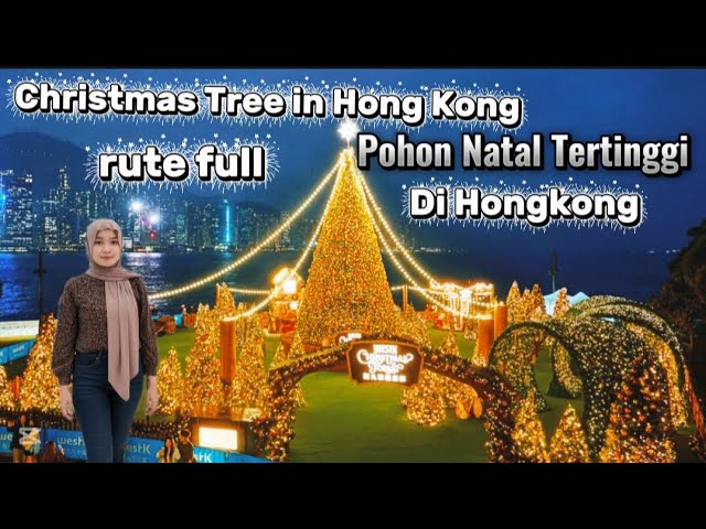 Hong Kong's Tallest Christmas Tree 2025 | Christmas Tree in Hong Kong