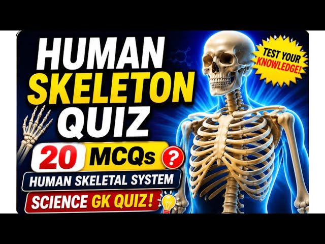 🦴 Human Skeleton Quiz | 20 MCQs | Human Skeletal System Quiz