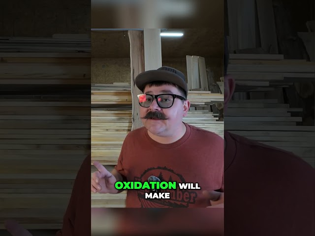 How Pros Actually Identify Wood Species #carpentry #tutorial