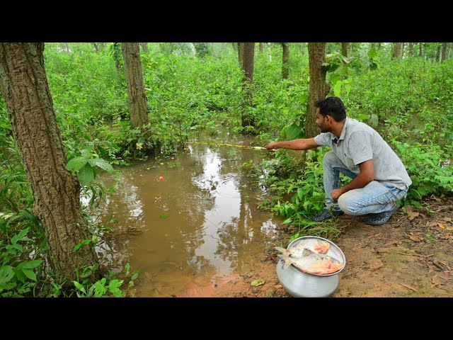 Fishing Video || Brave boy amazing hook fishing in the village forest canal || Amazing hook fishing
