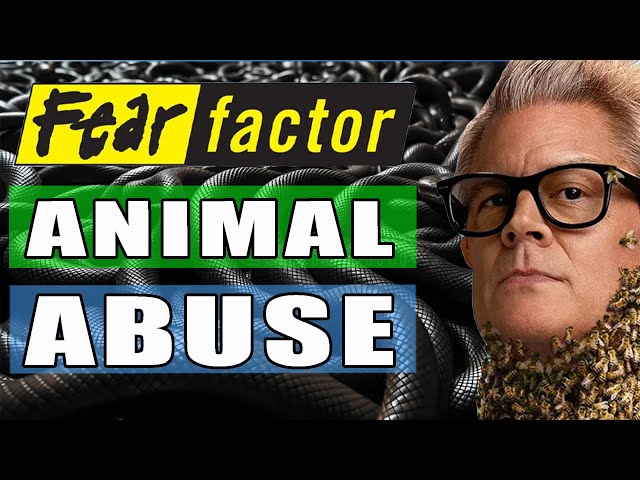 Animal Abuse on TV in 2026...