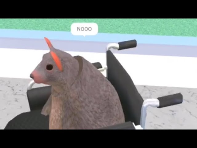 How RATical Rat Lost His Legs😞… (Feat. @TimmyNeedsWater)