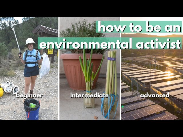 HOW TO BE AN ACTIVIST from beginner to advanced // environmental activism for all people :)