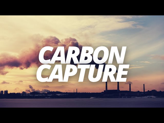 PSA #6 | Why and How to Sequester Carbon