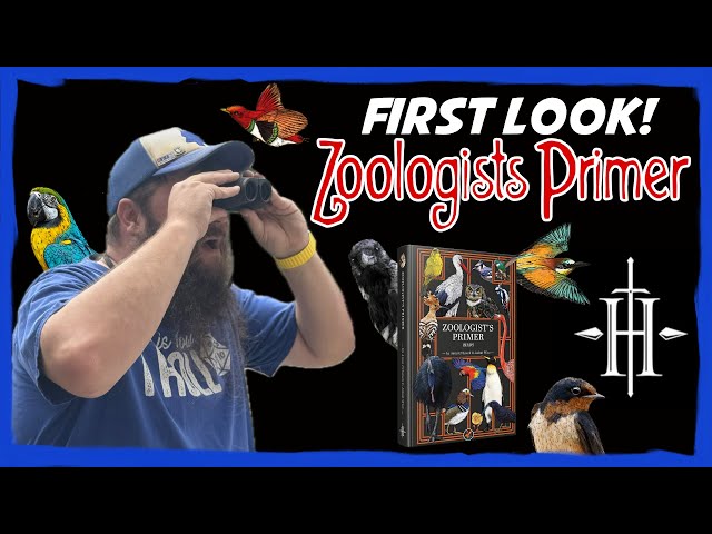 Improve Your Dungeons And Dragons Game with the Zoologists Primer