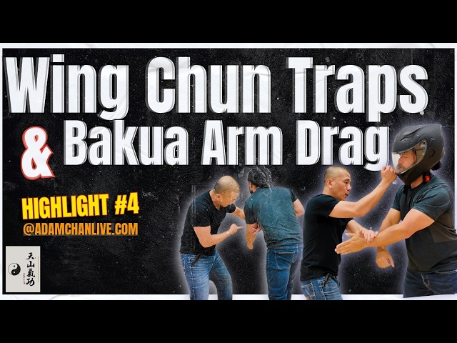 Wing Chun Traps & Bakua Arm Drag - Class Highlights #4 Adam Chan