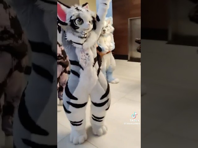 Uppies go crazy :3 #furry #furries #fursuit #tiktok #trending #viral #cosplay