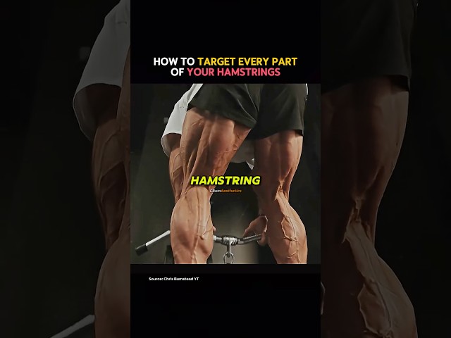 CBum Explains How to Target Upper vs. Lower Hamstrings 🐐