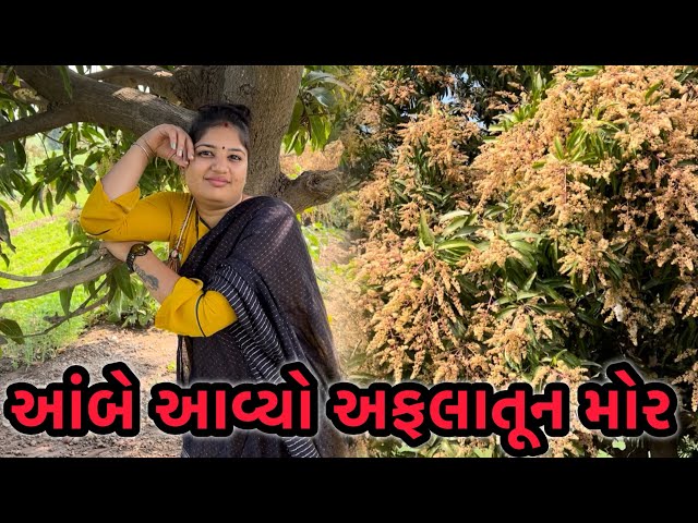 આંબે આવ્યો અફલાતૂન મોર