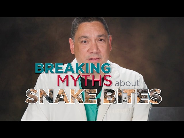 Snake Bite Myths: What NOT To Do After a Rattlesnake Bite