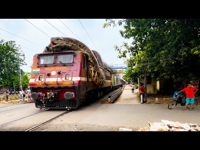 Dangerous Giant Python Riding a Superfast Express Train | Indian Railways