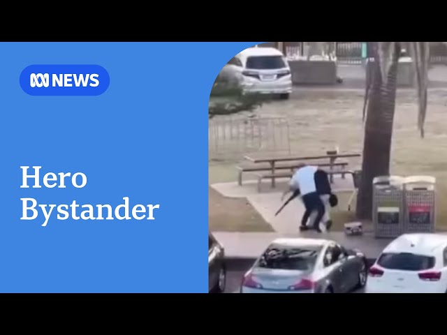 Video of hero bystander disarming Bondi gunman | ABC NEWS