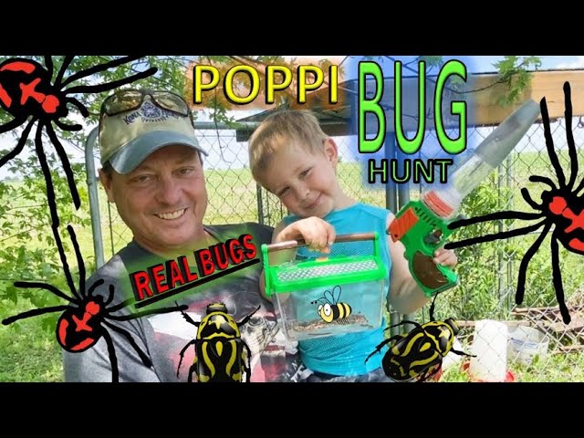 Vacuum BUG HUNT for REAL BUGS with Poppi!! MILLIPEDES, Spiders, ROLY POLYS, a Centipede, Bees & MORE