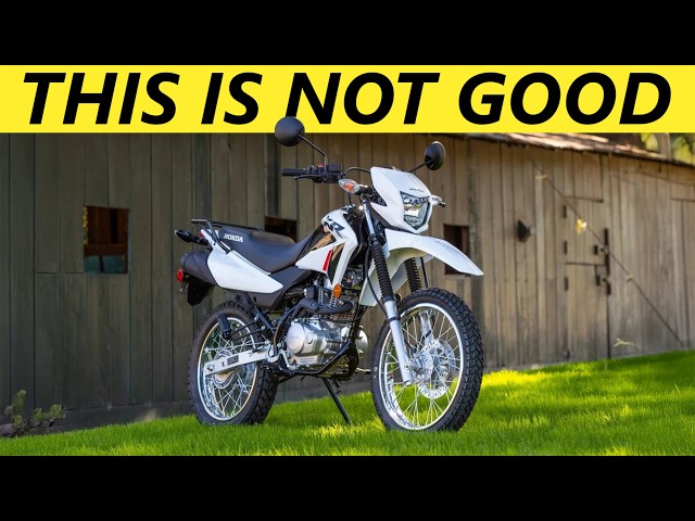 Something Weird Is Happening to Entry-Level Motorcycles