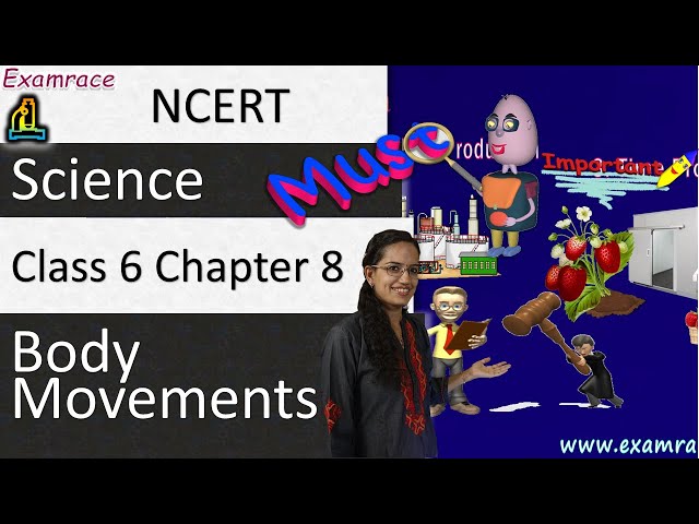 NCERT Class 6 Science Chapter 8: Body Movements (NSO/NSTSE/Olympiad) | doorsteptutor.com