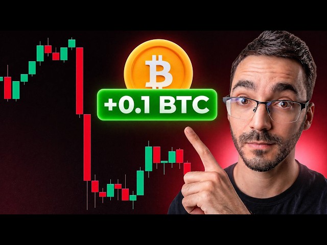 How to Profit from a Bitcoin Price Drop Using a Liquidity Pool