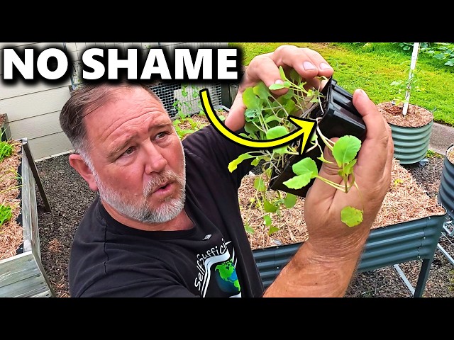 Why Buying Seedlings Is Smarter Than You Think