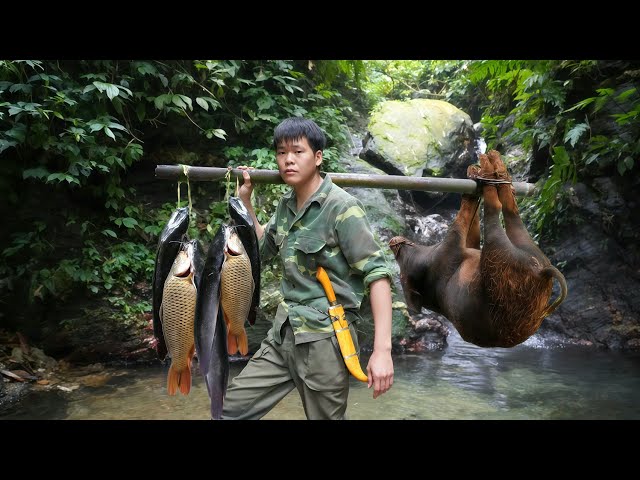 Life in the wilderness, primitive wild boar trapping skills, catch stream fish, survival skills 2