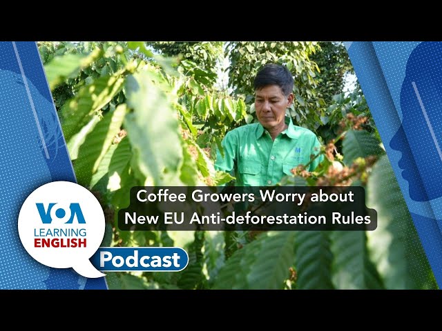 Learning English Podcast - Deforestation Rules, Social Media Bans, People Watching