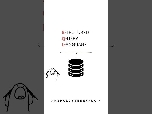 How Google ACTUALLY Works 🤯 Can YOU Build One? | Search Engine Explained in 60 Seconds #shorts
