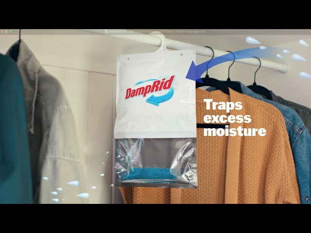 Get Rid of the Daaamp