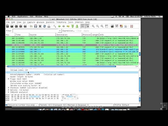 Ethical Hacking Tutorials 19 Using Wireshark To Examine Packets 01