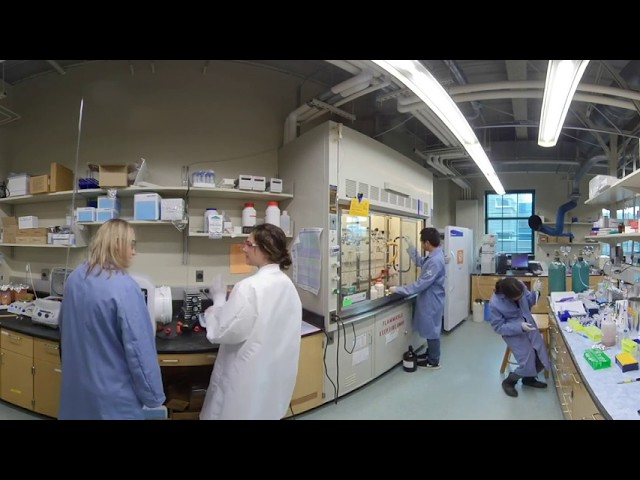 UConn Chemistry Research Lab - 360° Video